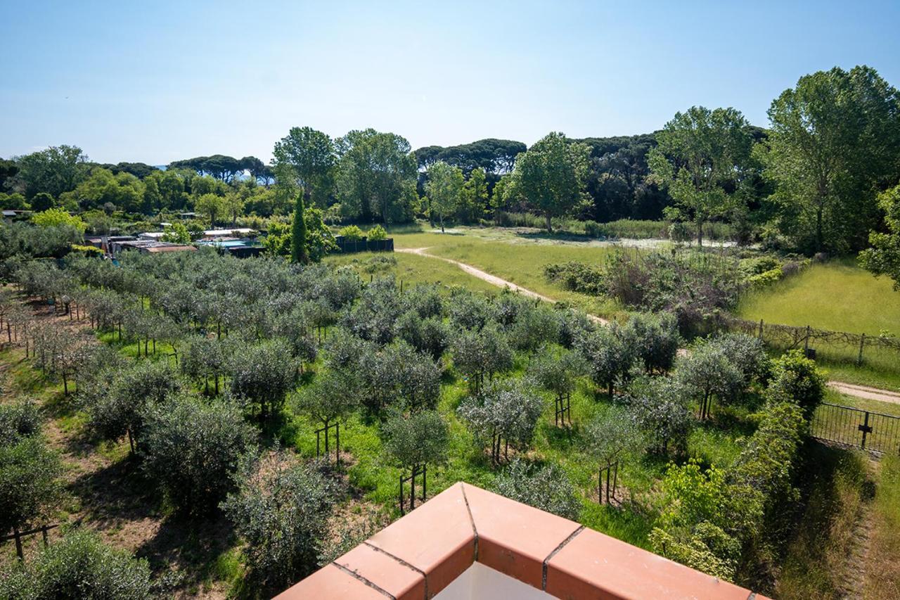 Apartamento Attico Di Torsten Torre del Lago Puccini Exterior foto